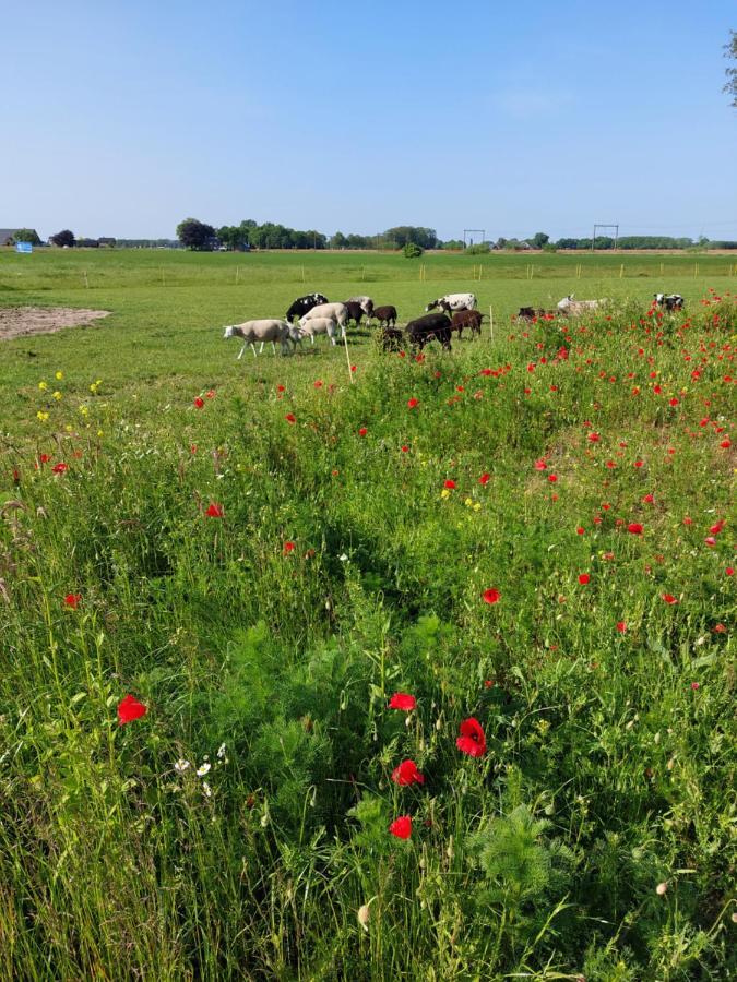 Boerderijkamer 'T Keukentje Wijhe المظهر الخارجي الصورة